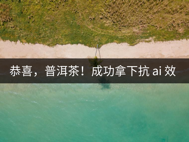 恭喜，普洱茶！成功拿下抗 ai 效果第二名！