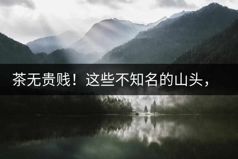 茶無(wú)貴賤！這些不知名的山頭，其實(shí)也產(chǎn)優(yōu)質(zhì)普洱茶！