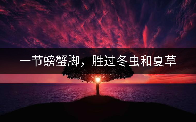 一節(jié)螃蟹腳，勝過冬蟲和夏草