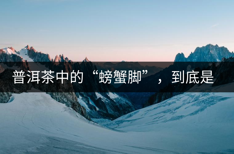 普洱茶中的“螃蟹腳”，到底是什么？如何辨別？
