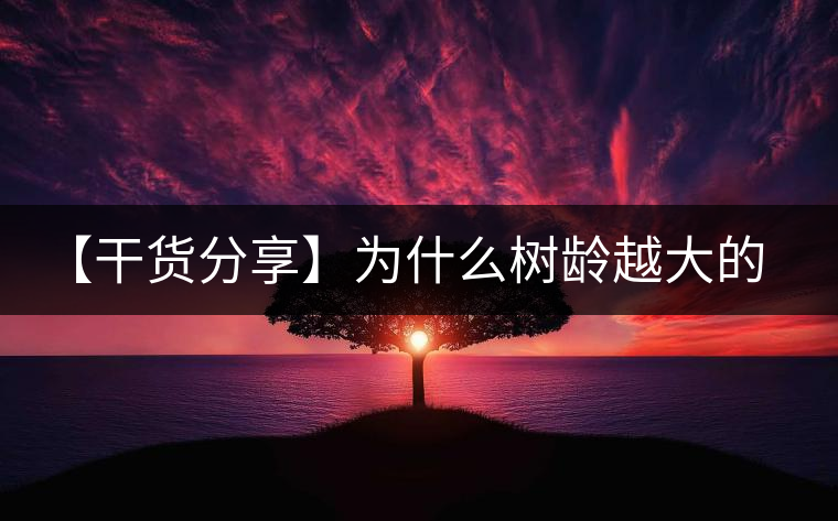 【干貨分享】為什么樹齡越大的普洱生茶，苦味越容易化掉？