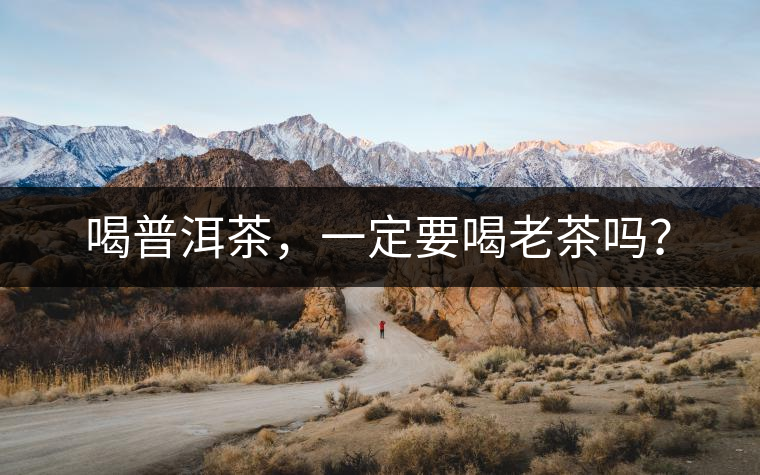 喝普洱茶，一定要喝老茶嗎？
