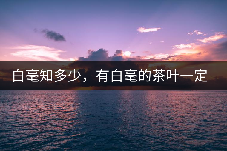 白毫知多少，有白毫的茶葉一定好嗎？