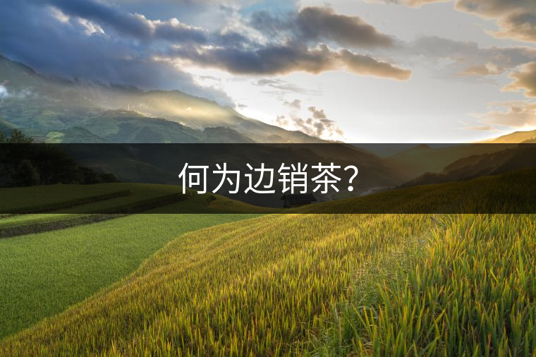 何為邊銷茶？