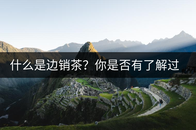 什么是邊銷茶？你是否有了解過邊銷茶呢？