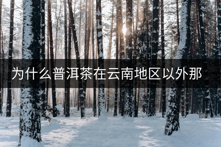 為什么普洱茶在云南地區(qū)以外那么受歡迎？