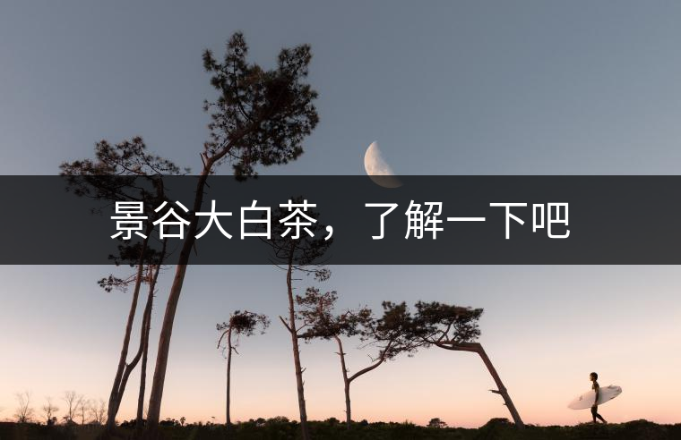 景谷大白茶，了解一下吧