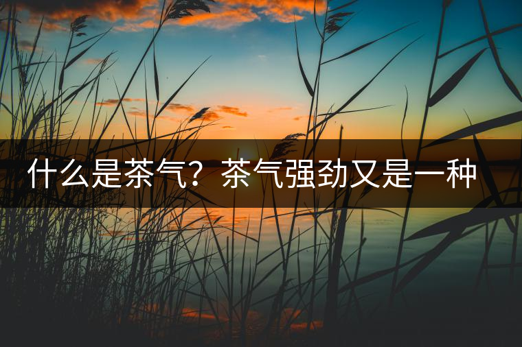 什么是茶氣？茶氣強(qiáng)勁又是一種怎樣的體驗(yàn)？
