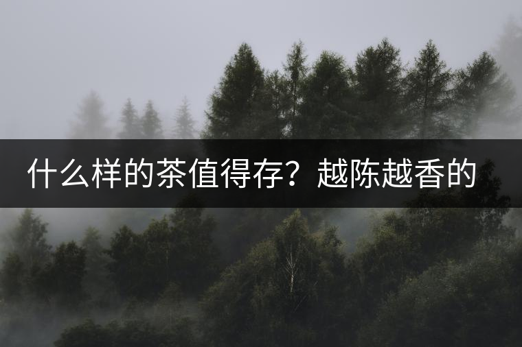 什么樣的茶值得存？越陳越香的本質(zhì)是什么？