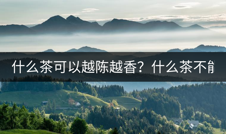 什么茶可以越陳越香？什么茶不能？