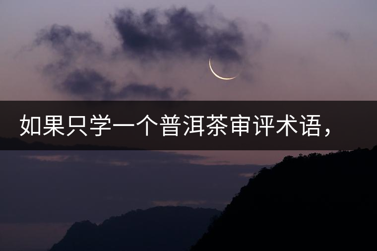 如果只學(xué)一個(gè)普洱茶審評(píng)術(shù)語(yǔ)，那應(yīng)該是什么？