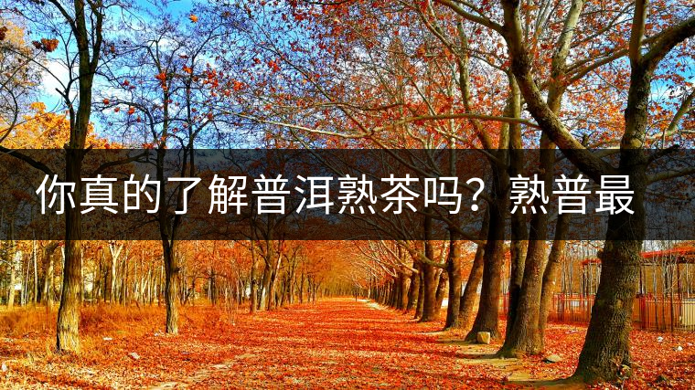 你真的了解普洱熟茶嗎？熟普最詳細(xì)的揭秘都在這里了。