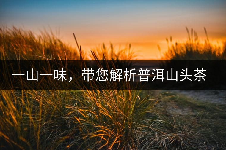 一山一味，帶您解析普洱山頭茶的密碼究竟是什么？