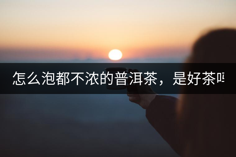 怎么泡都不濃的普洱茶，是好茶嗎？