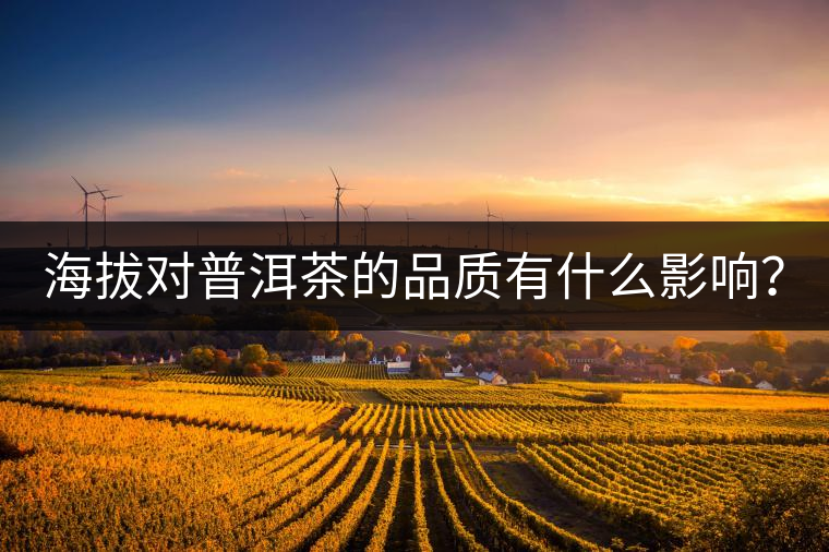 海拔對(duì)普洱茶的品質(zhì)有什么影響？