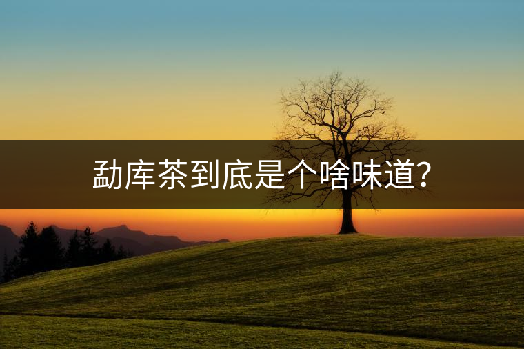 勐庫茶到底是個啥味道？