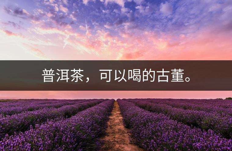 普洱茶，可以喝的古董。