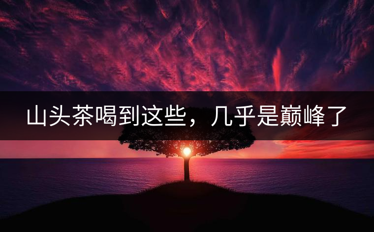 山頭茶喝到這些，幾乎是巔峰了