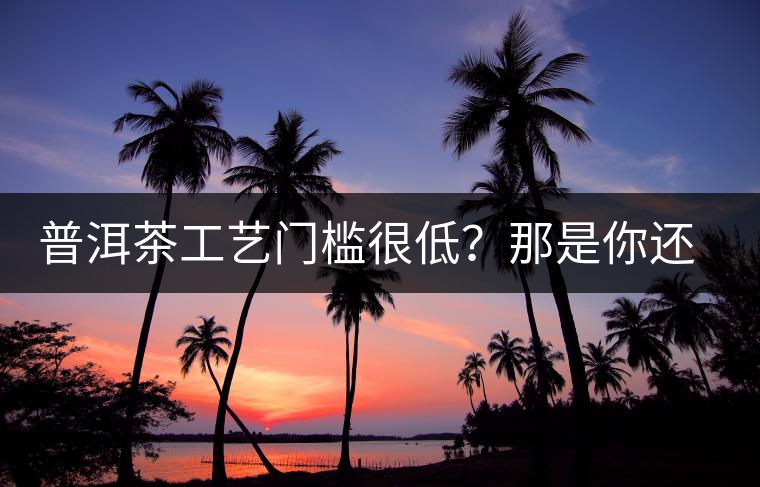 普洱茶工藝門檻很低？那是你還沒(méi)有參透工藝與自然之間的奧秘！