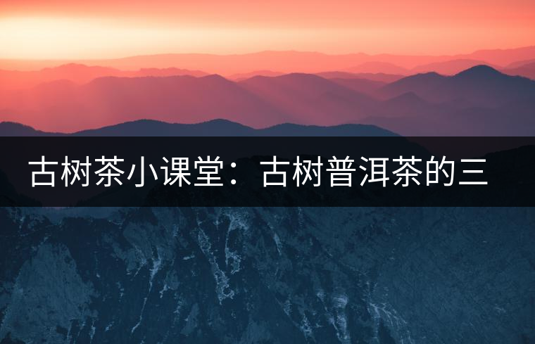 古樹茶小課堂:古樹普洱茶的三大價值 古樹茶小課堂:古樹普洱茶的三大價值