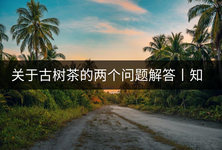 關(guān)于古樹茶的兩個問題解答丨知識