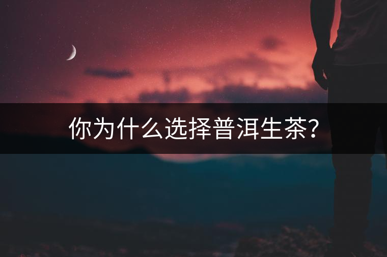 你為什么選擇普洱生茶？