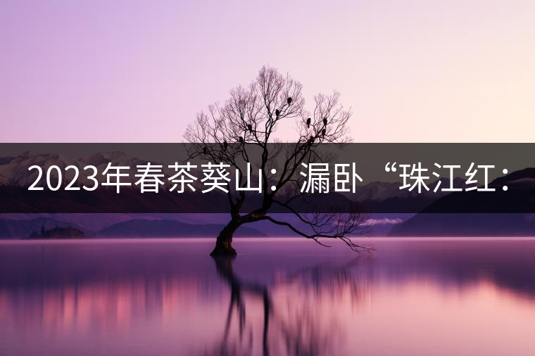2023年春茶葵山：漏臥“珠江紅：1200元-3200元（有3個檔次）漏臥“大廠茶”：古樹單株8600-9000元／公斤，中樹4800-5200元／公斤，小樹混采2600-2800元／公斤。