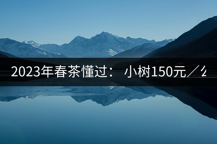2023年春茶懂過: 小樹150元/公斤, 古樹400-600元/公斤 2023年春茶懂過: 小樹150元/公斤, 古樹400-600元/公斤