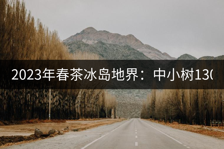 2023年春茶冰島地界：中小樹1300-1500元／公斤，古樹2200~2500元／公斤
