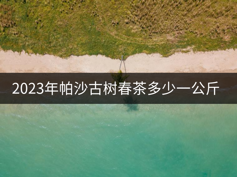 2023年帕沙古樹春茶多少一公斤？