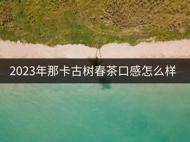 2023年那卡古樹春茶口感怎么樣？