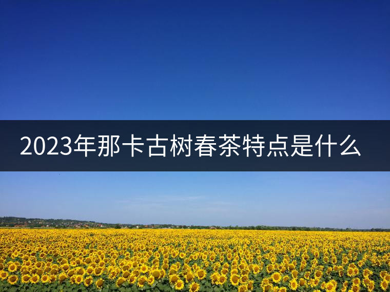 2023年那卡古樹春茶特點是什么？