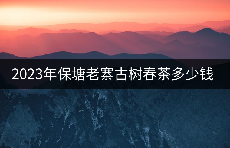 2023年保塘老寨古樹(shù)春茶多少錢(qián)一公斤？