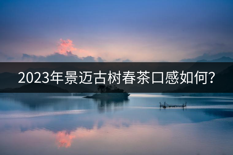 2023年景邁古樹(shù)春茶口感如何？