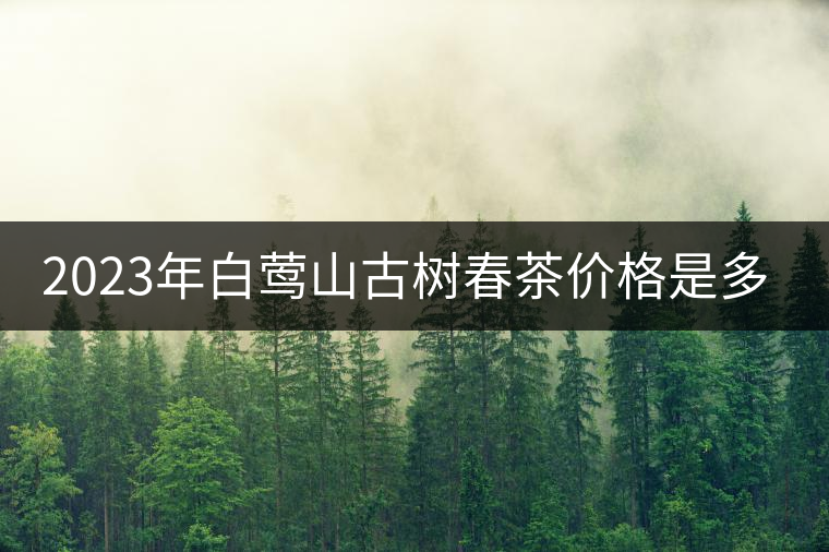 2023年白鶯山古樹春茶價格是多少？