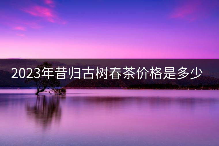 2023年昔歸古樹春茶價格是多少？