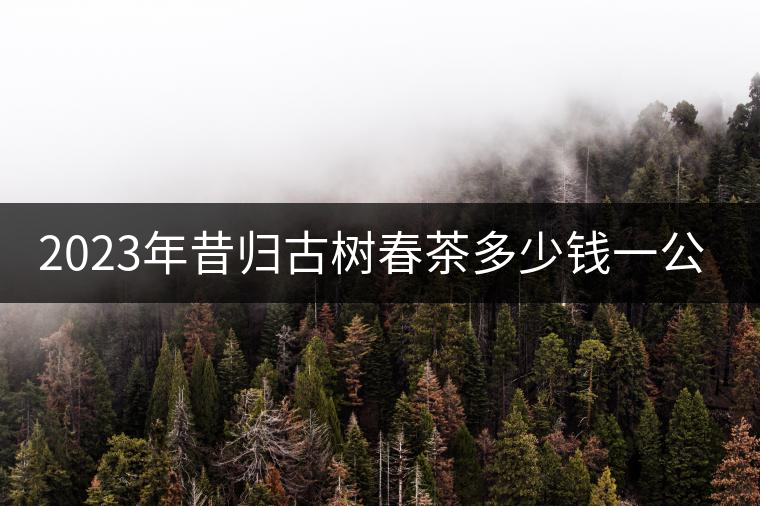 2023年昔歸古樹春茶多少錢一公斤？
