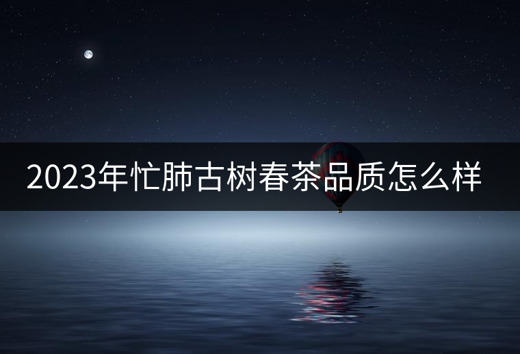 2023年忙肺古樹春茶品質(zhì)怎么樣？