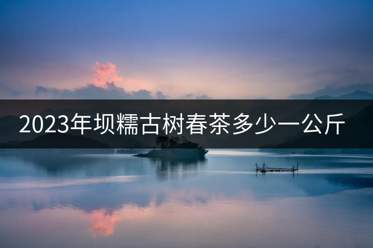 2023年壩糯古樹(shù)春茶多少一公斤？