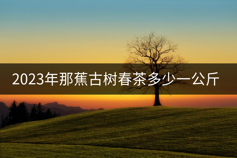 2023年那蕉古樹春茶多少一公斤？