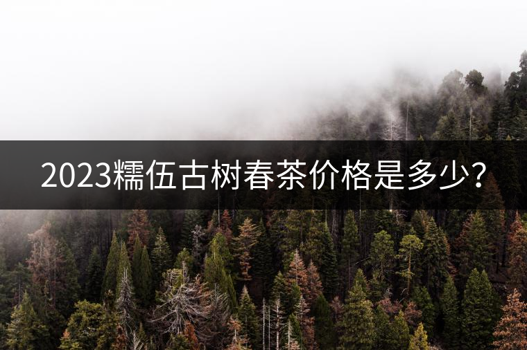 2023糯伍古樹春茶價(jià)格是多少？