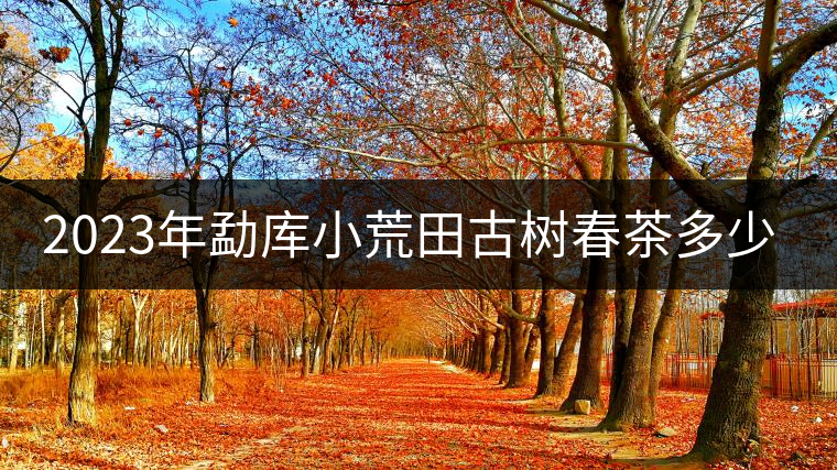 2023年勐庫小荒田古樹春茶多少一公斤？