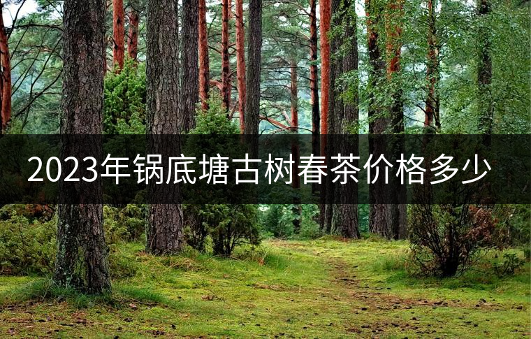 2023年鍋底塘古樹(shù)春茶價(jià)格多少? 2023年鍋底塘古樹(shù)春茶價(jià)格多少?