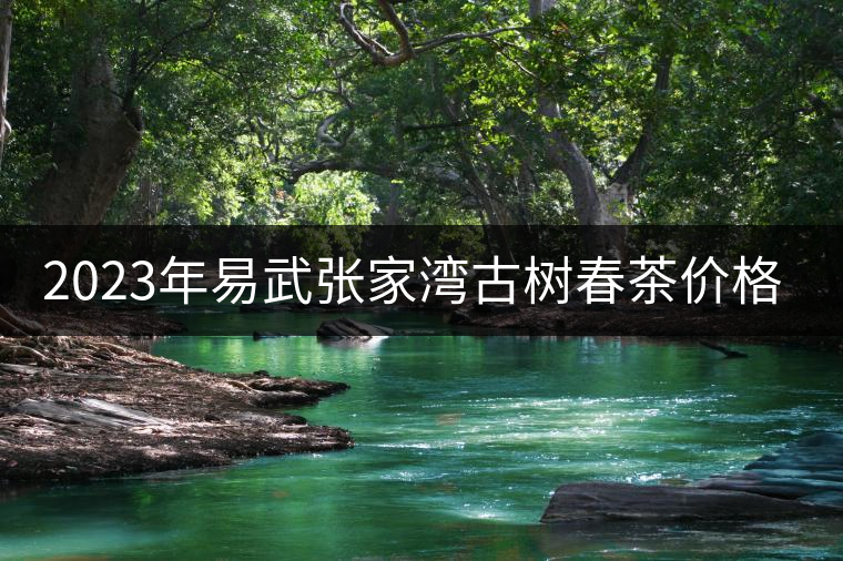 2023年易武張家灣古樹春茶價格是多少？