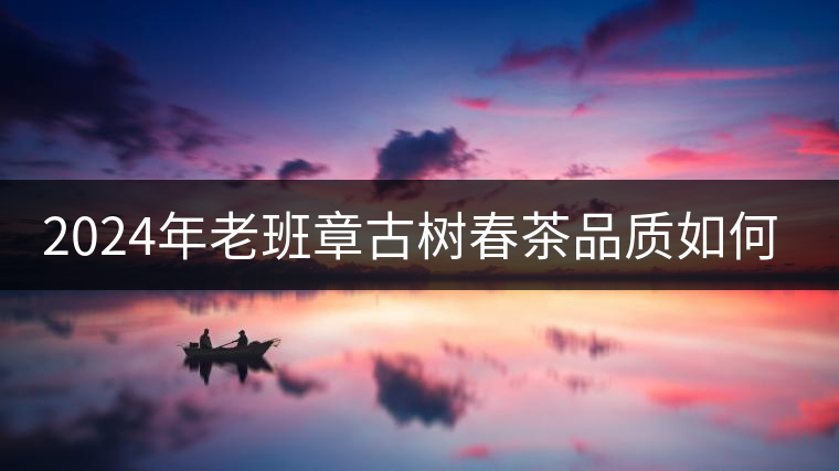2024年老班章古樹春茶品質(zhì)如何？