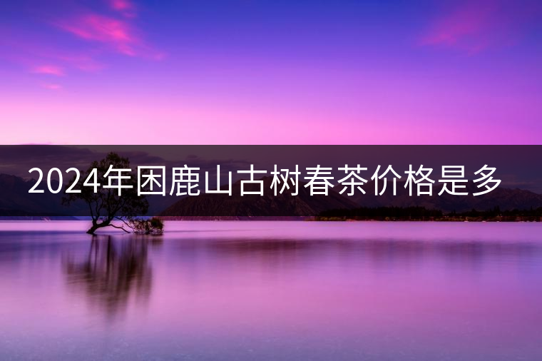 2024年困鹿山古樹(shù)春茶價(jià)格是多少？