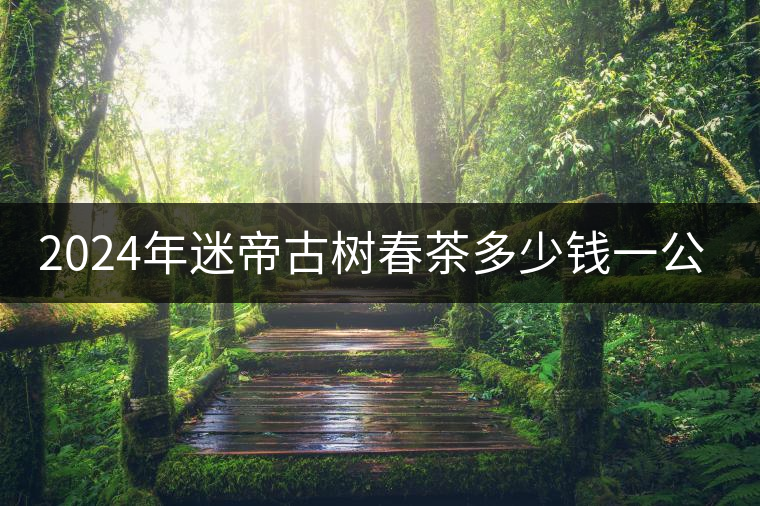 2024年迷帝古樹(shù)春茶多少錢(qián)一公斤？