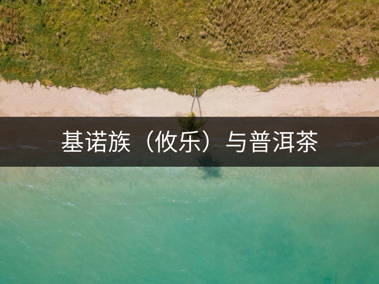 基諾族(攸樂(lè))與普洱茶 基諾族(攸樂(lè))與普洱茶