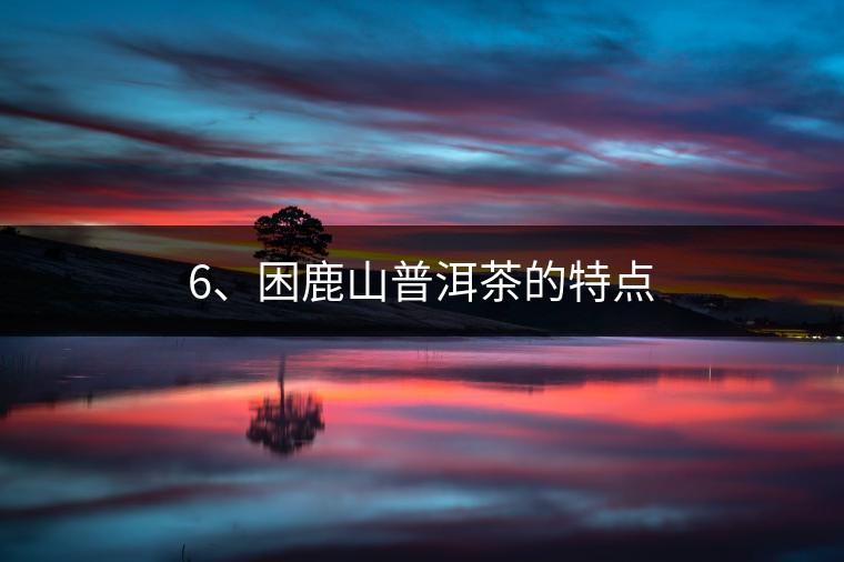 6、困鹿山普洱茶的特點