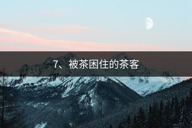 7、被茶困住的茶客